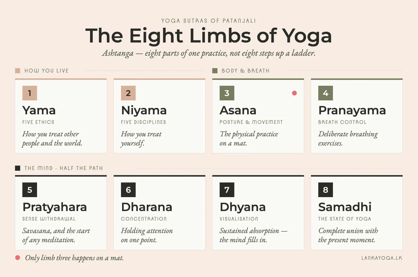 Infographic of the eight limbs of yoga: yama and niyama (how you live), asana and pranayama (body and breath), and pratyahara, dharana, dhyana and samadhi (the mind)
