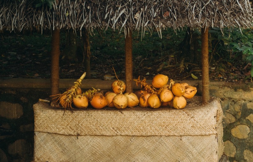 Orange king coconuts piled on a woven palm stall under a thatched roof in Sri Lanka