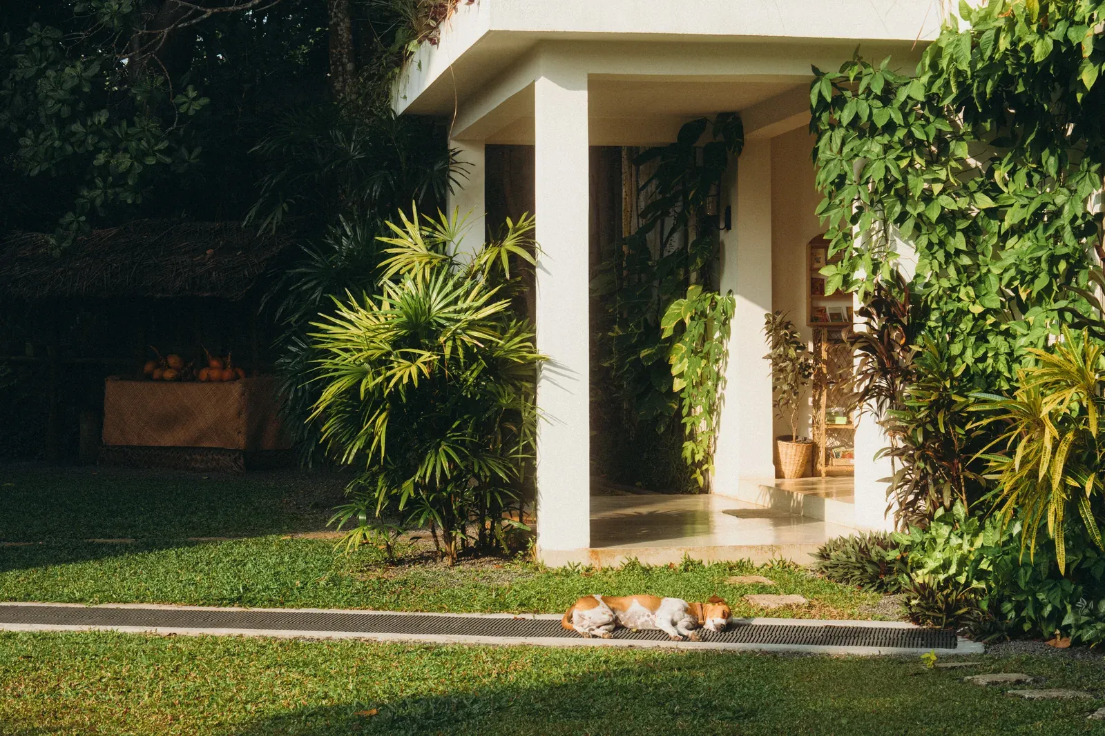 Tropical gardens and wildlife