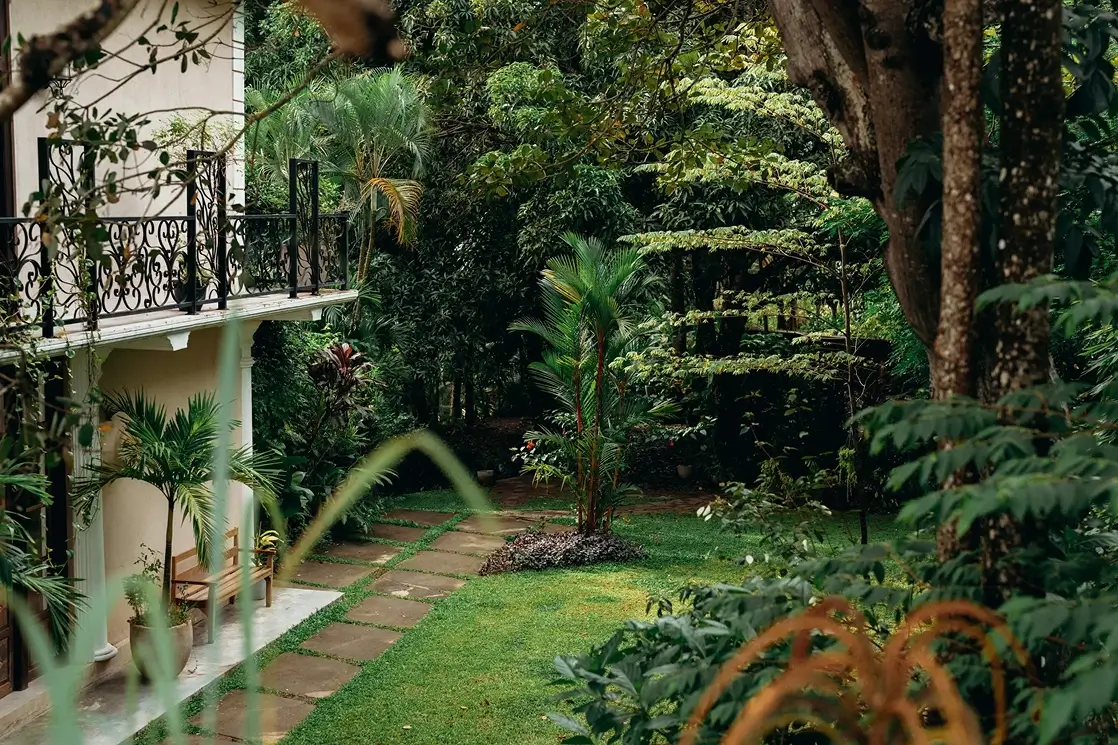 Beautiful Sri Lankan Garden