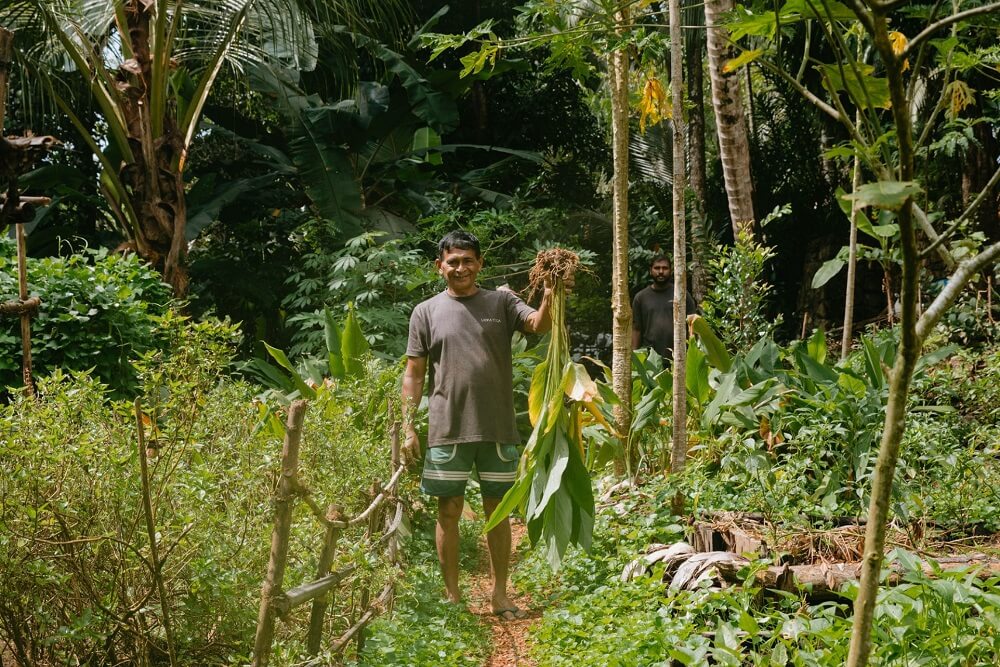 Lanka Yoga Retreat
