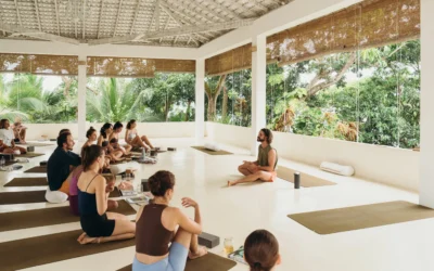 How to Choose a 200hr Yoga Teacher Training in Sri Lanka in 2026