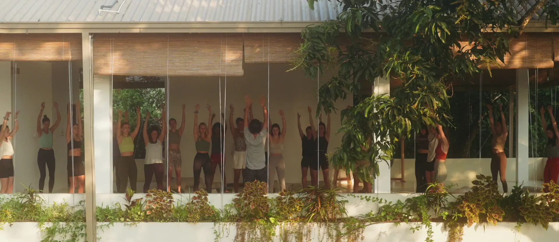 Yoga Synergy Vinyasa 200-hour teacher training in Sri Lanka at Lanka Yoga