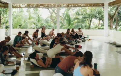 100 Hour Vinyasa Yin Yoga Teacher Training: Why It’s Often the Smarter First Step